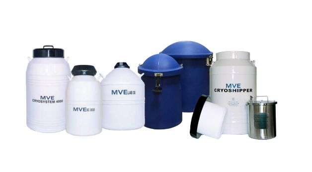 MVE XC 21/6 液氮冻存罐
